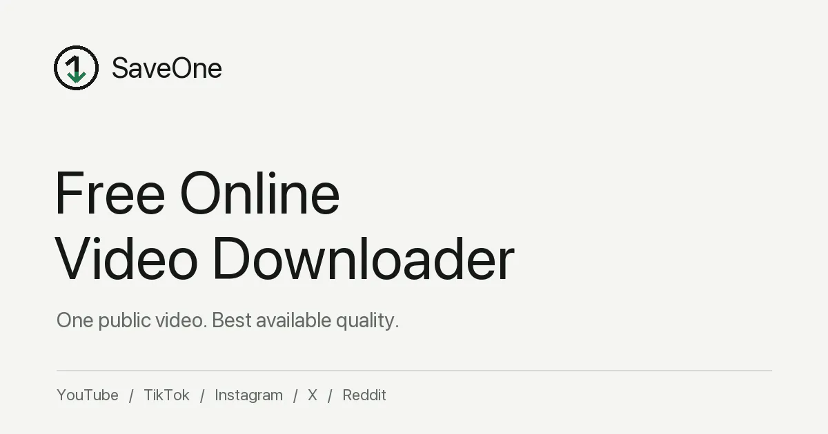 SaveOne — Tiktok Video Downloader gallery image
