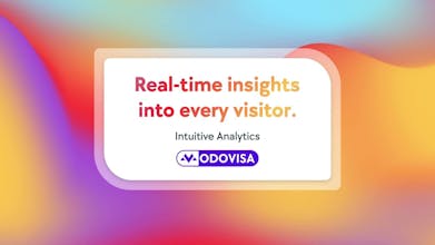 Modovisa - Intuitive Analytics gallery image