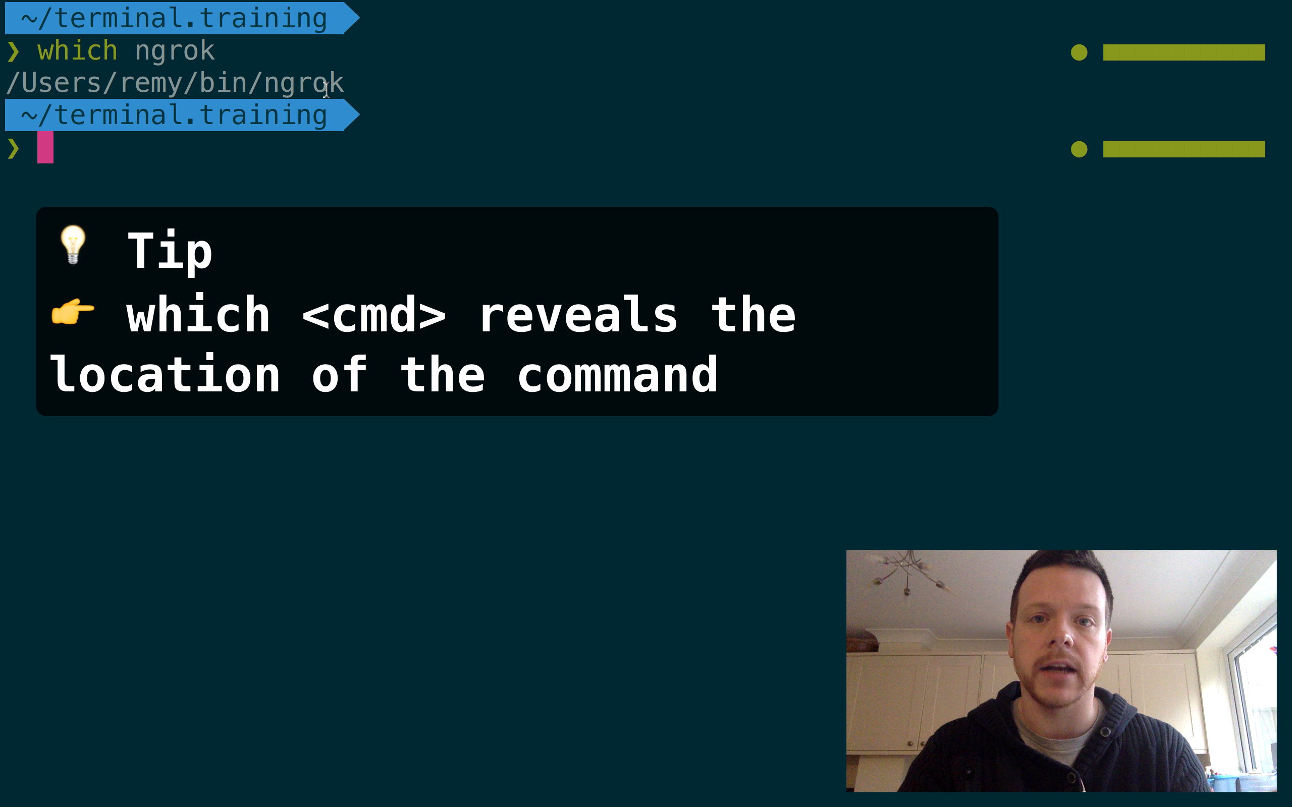 terminal.training Product Information, Latest Updates, and Reviews 2024 Product Hunt