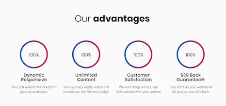 The $39 Website Project gallery image