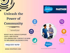Tenetizer Salesforce Integration Product gallery image