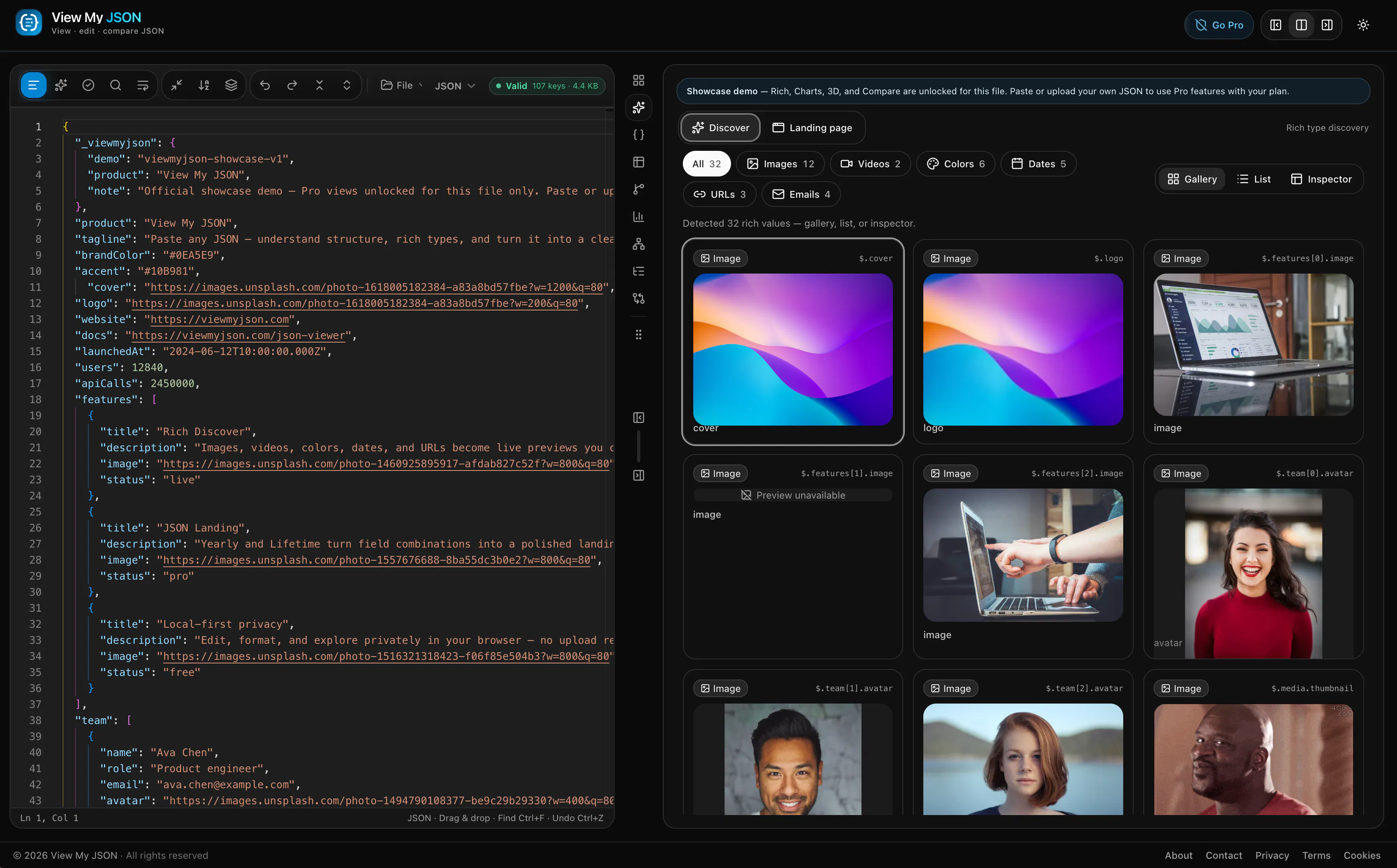 View My JSON gallery image