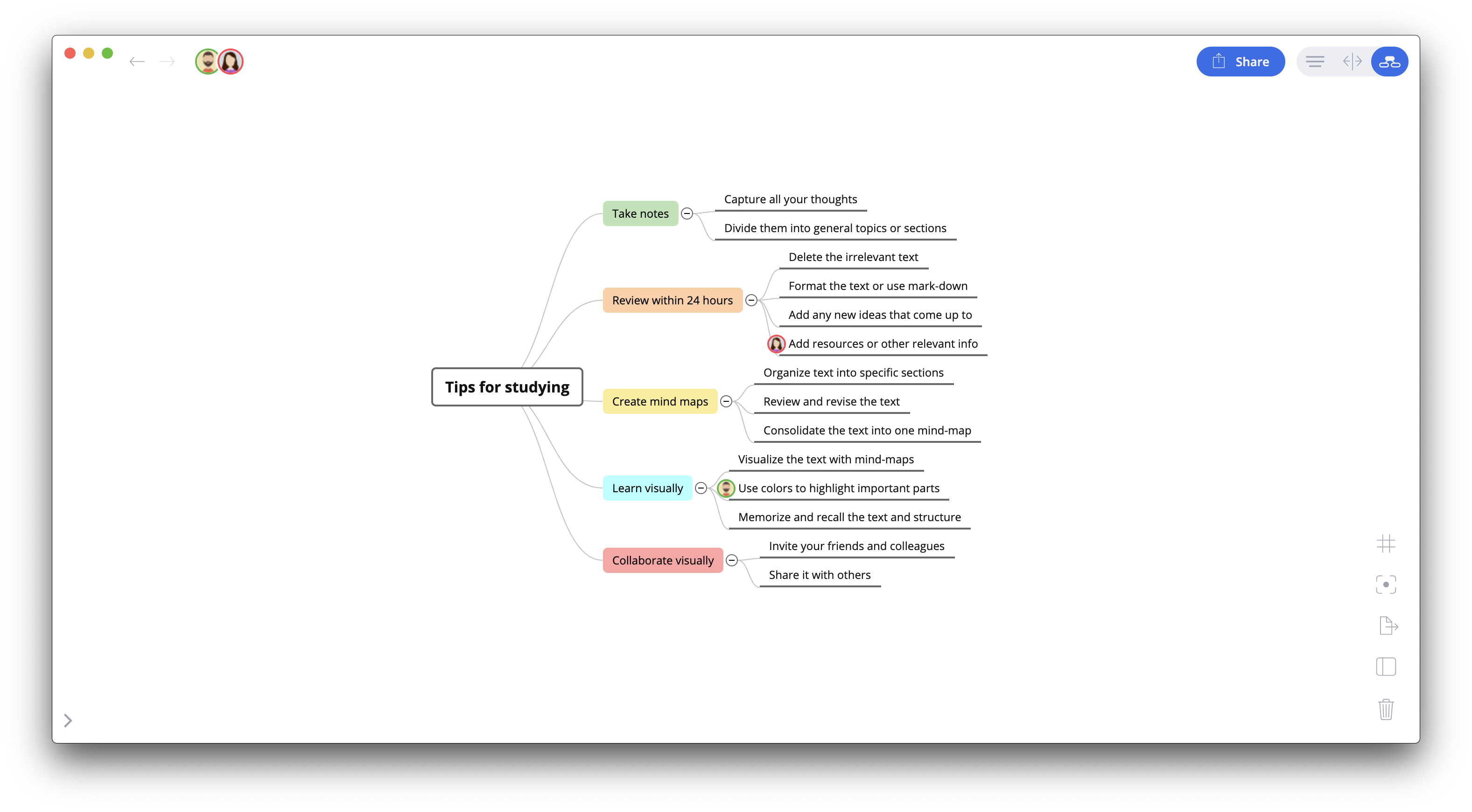 Brainio gallery image