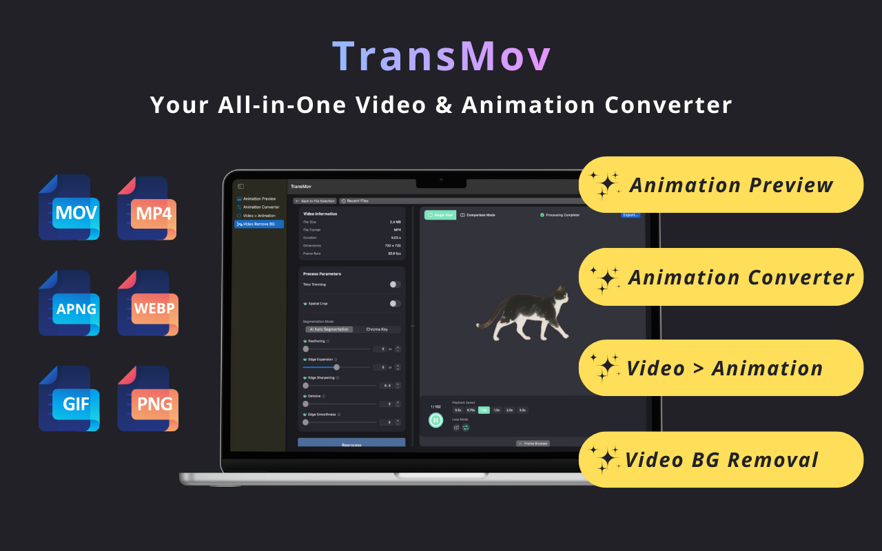 TransMov - Main product screenshot demonstrating key features and user interface