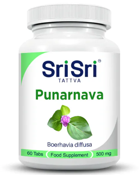 Punarnava 