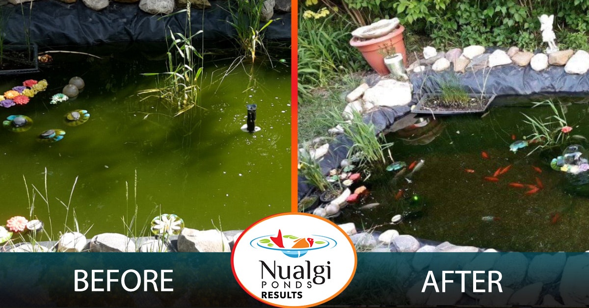 Nualgi Ponds Water Treatment gallery image
