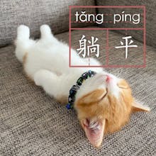 Tang Ping Cat - Memecoin Project gallery image