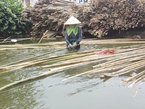 Nguyên Liệu Tre gallery image