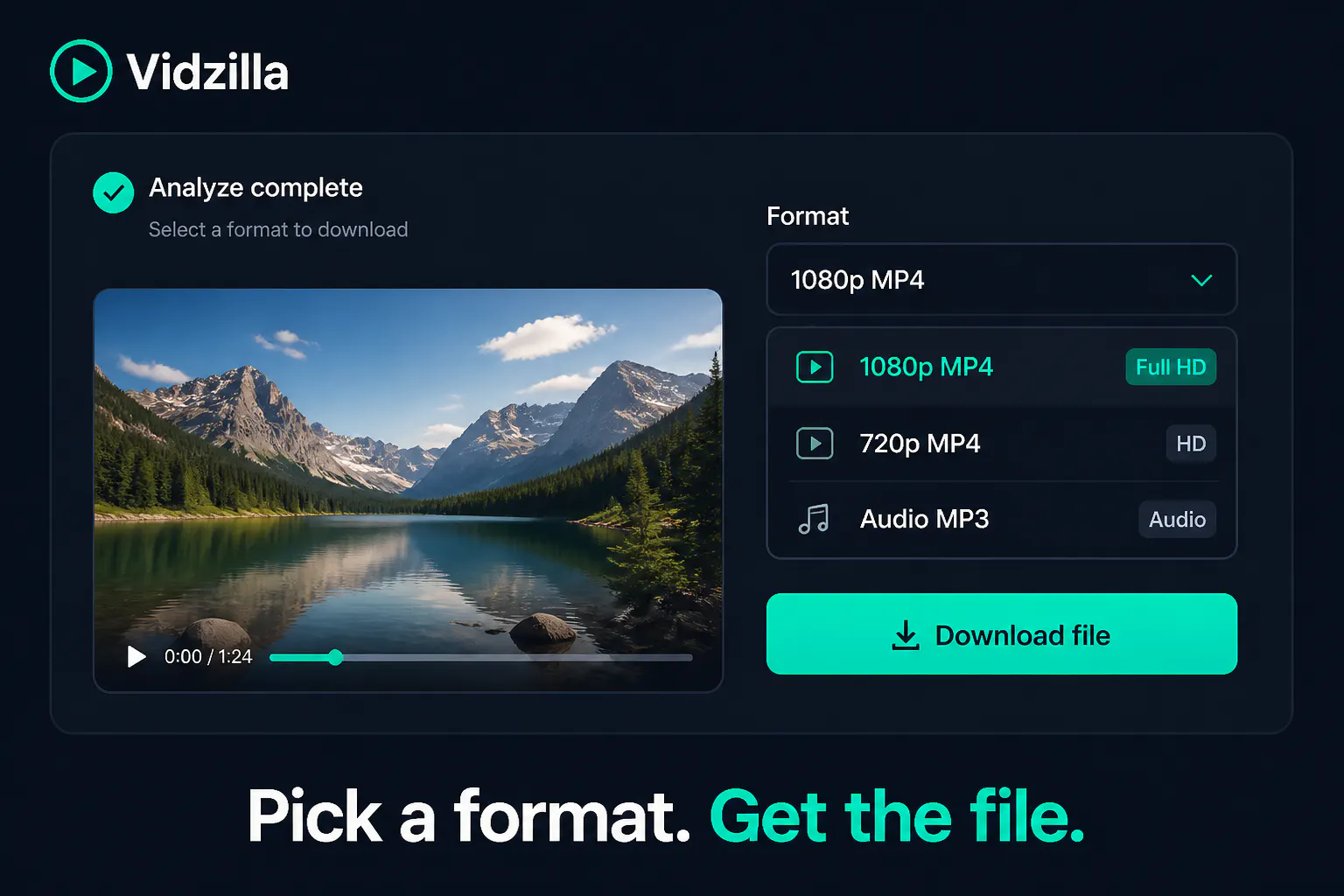 Vidzilla gallery image