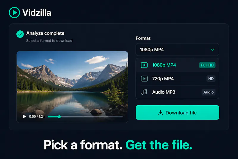Vidzilla screenshot 3
