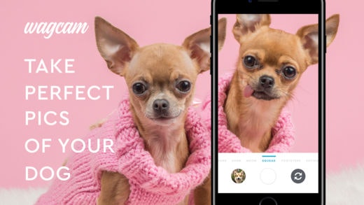 Wagcam gallery image