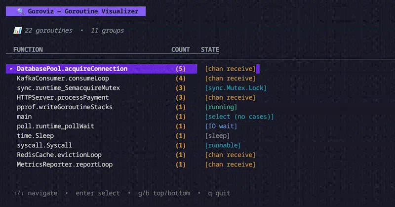 Goroviz screenshot 3
