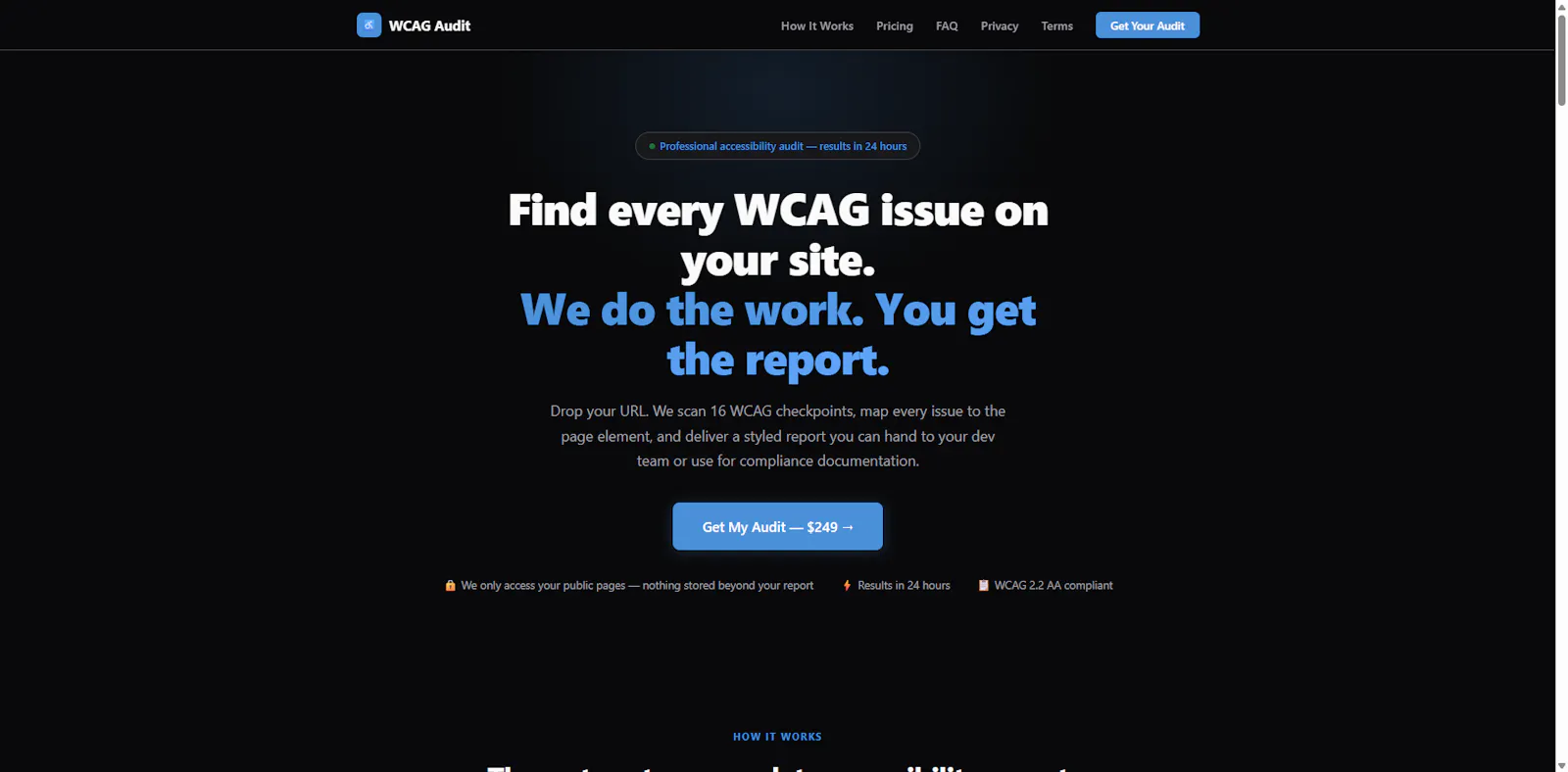 Accessibility Audit — WCAG Compliance screenshot 1