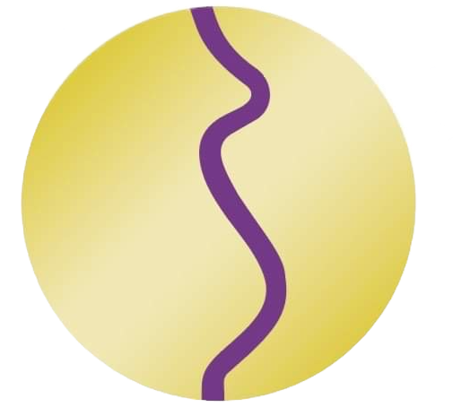 Baby Wellness Massage gallery image