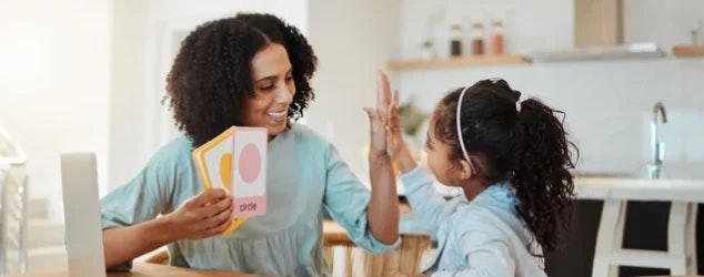 The Ogburn Online School - Main product screenshot demonstrating key features and user interface