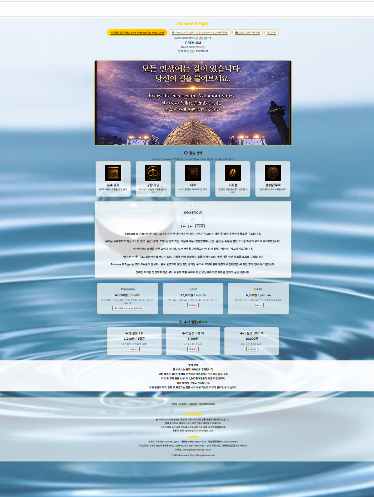 Fortune N Tiger gallery image