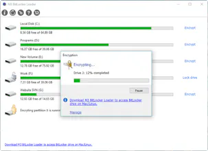 M3 BitLocker Loader for Windows gallery image