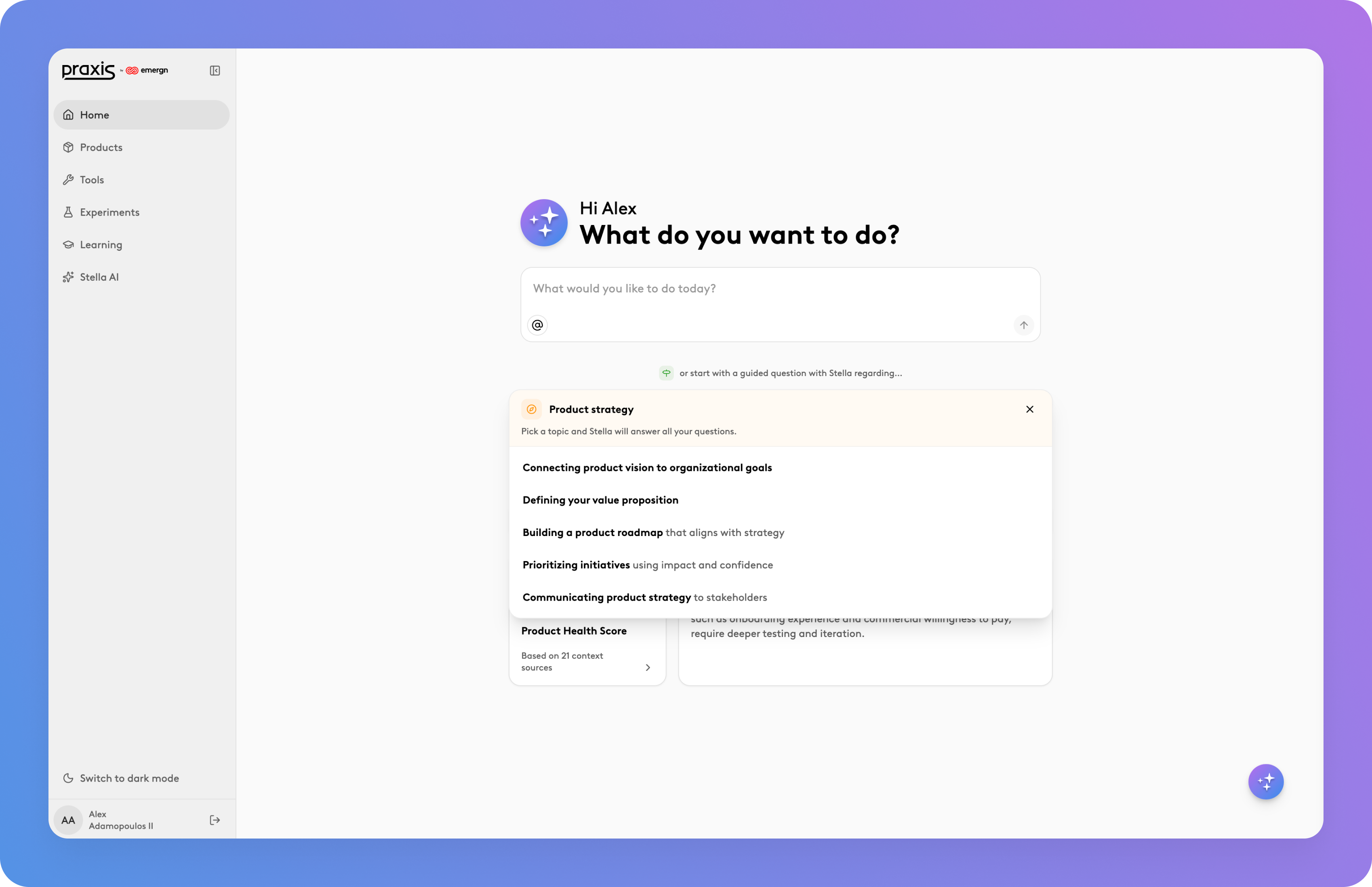 Stella AI gallery image
