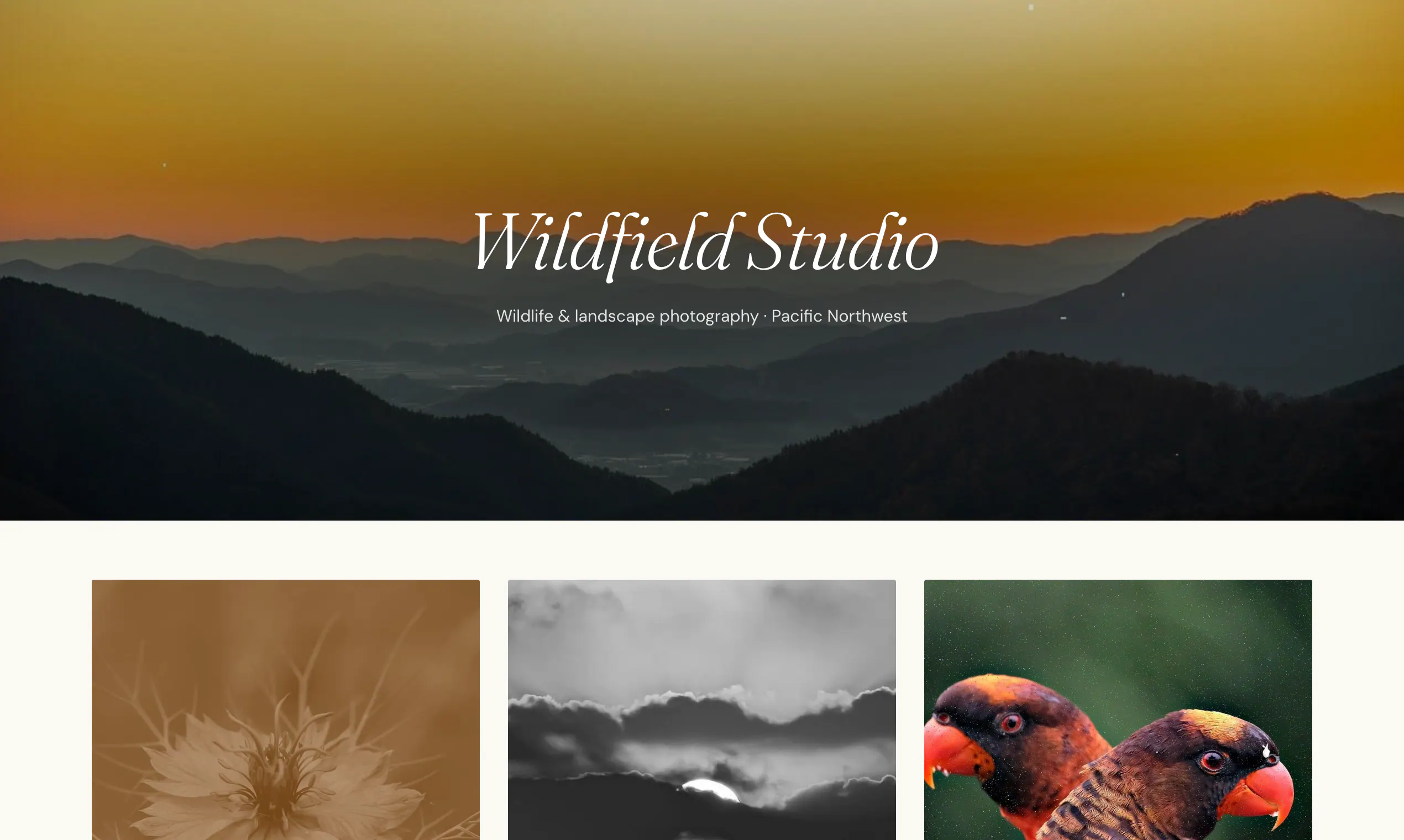 Gallry gallery image