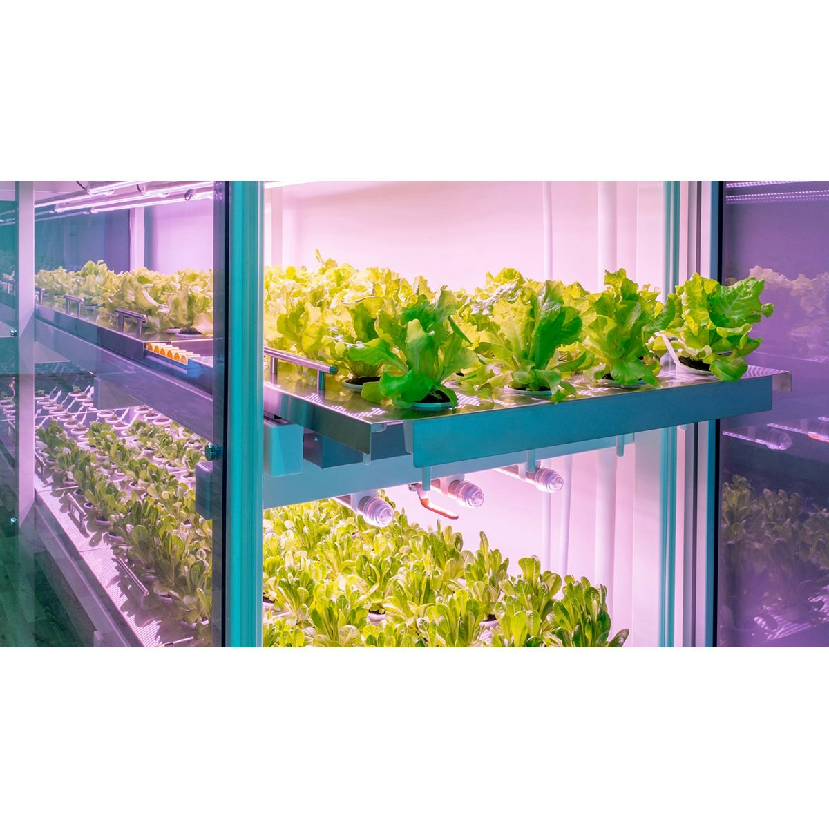 Click & Grow Smart Farm gallery image