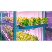 Click & Grow Smart Farm gallery image