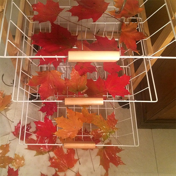 Ship Foliage gallery image