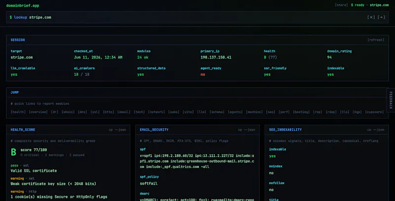 DomainBrief - domain lookup report screenshot 3