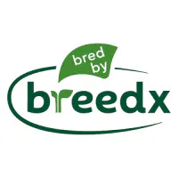 BreedX Specialty Vegetable Seed Breeding