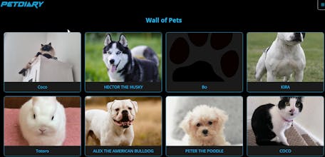 PetDiary gallery image