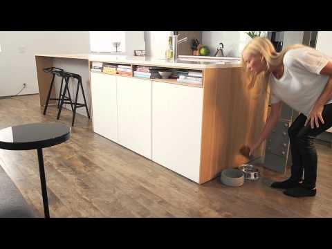 DogSync gallery image