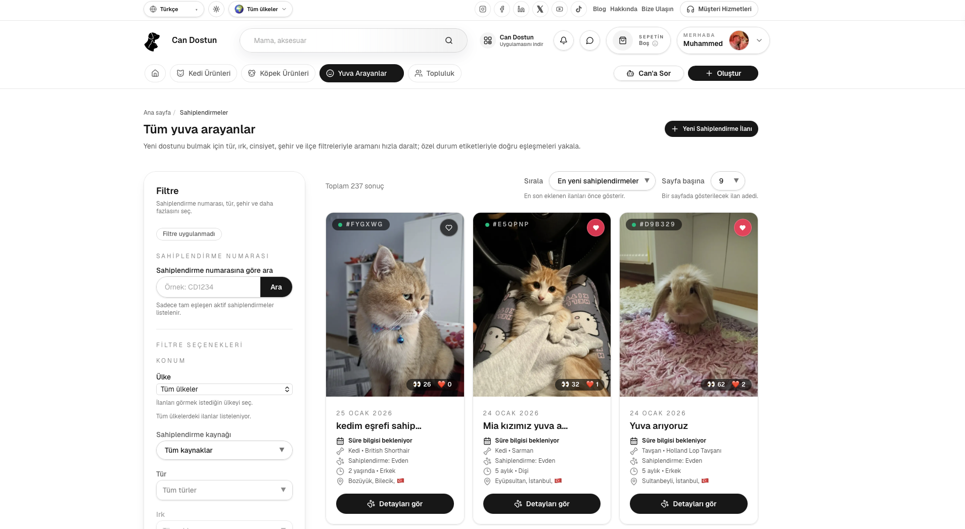 Can Dostun gallery image