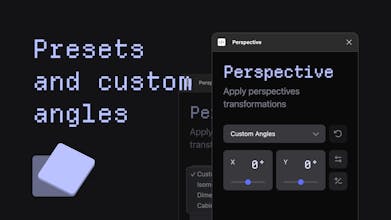 Perspective gallery image