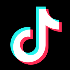  TikTok Video Downloaders 2023 