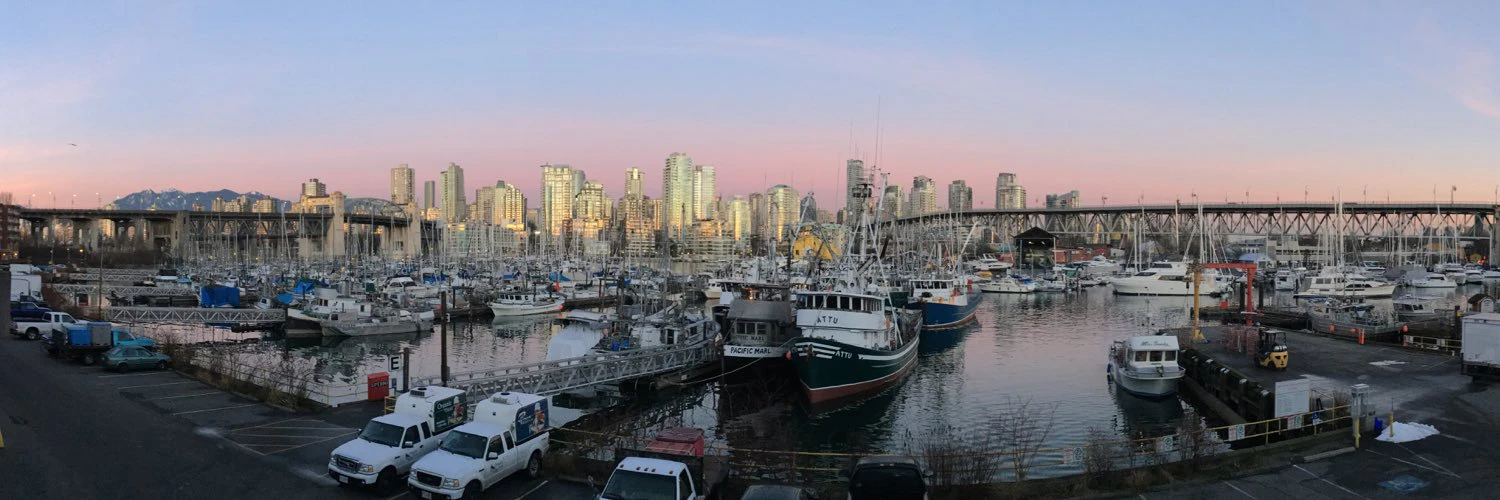 Paige Paquette cover