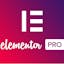Elementor Pro Plugin