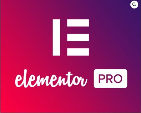 Elementor Pro Plugin logo