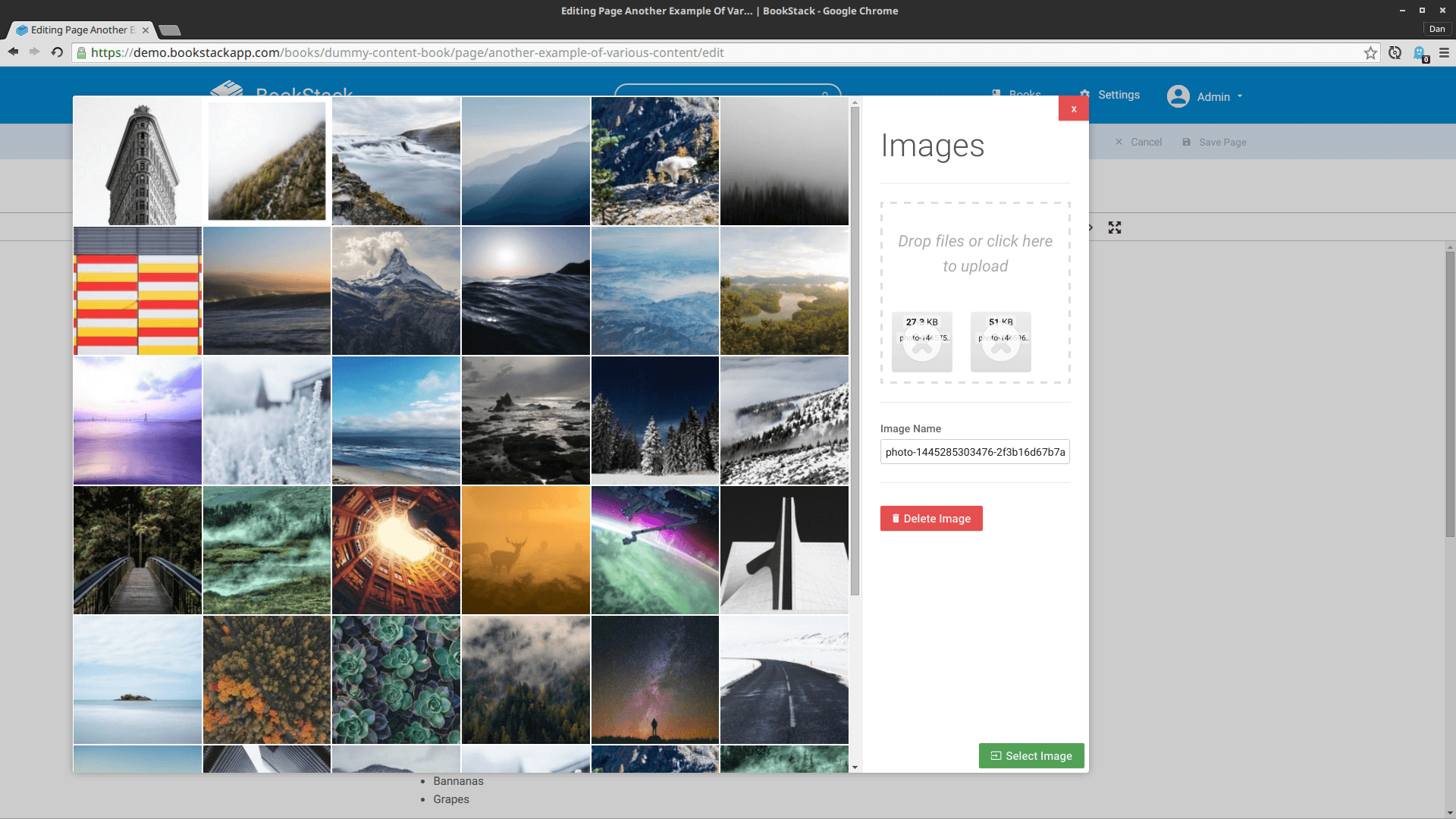 BookStack gallery image