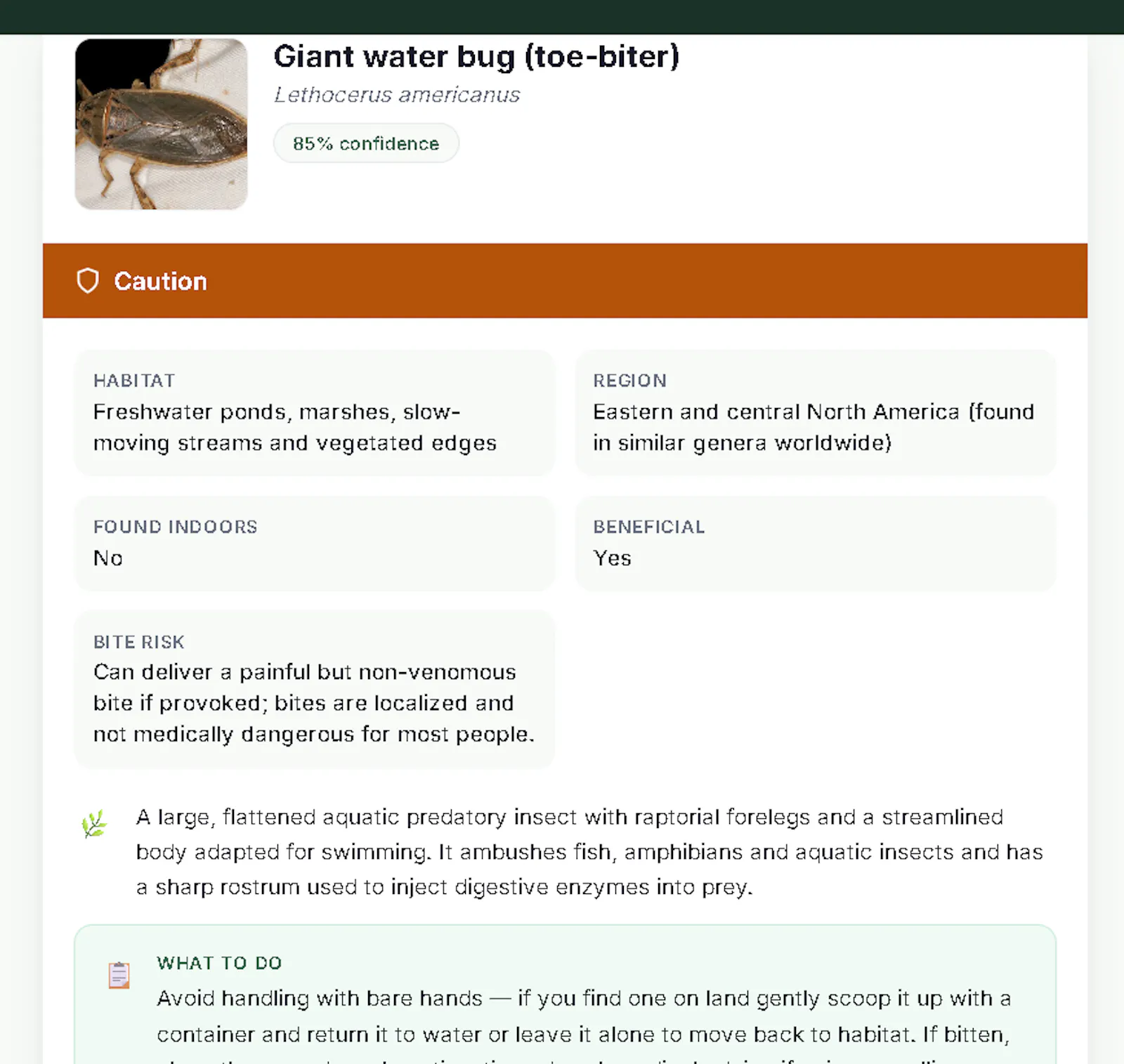 ScanaBug screenshot 3