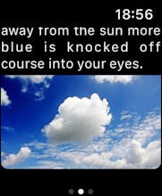 Voice in a Can gallery image