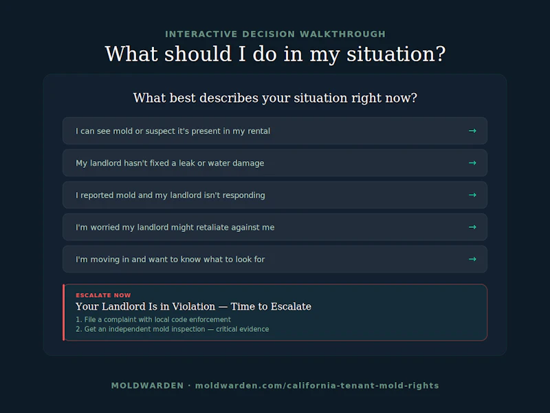 California Tenant Mold Rights Guide screenshot 3