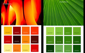 Color Palette gallery image