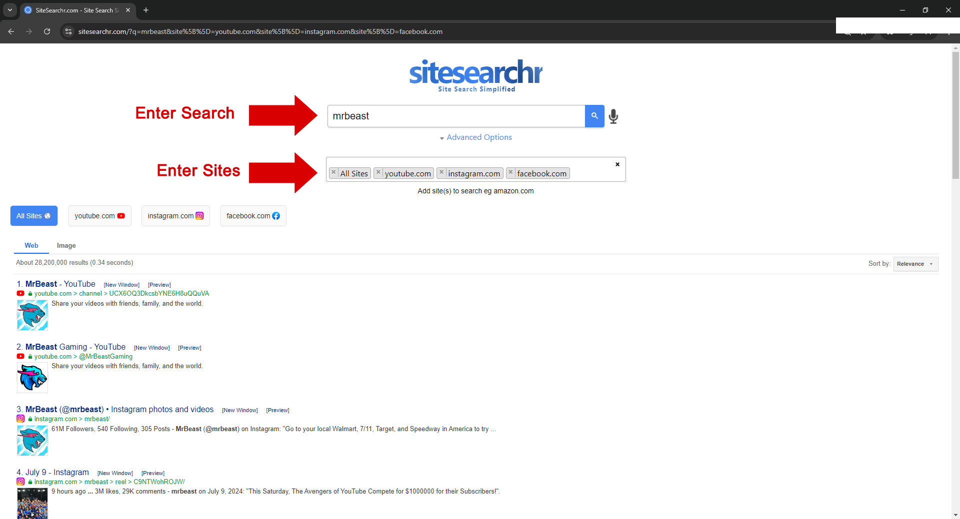 Sitesearchr - Si la búsqueda del sitio funcionó media 1