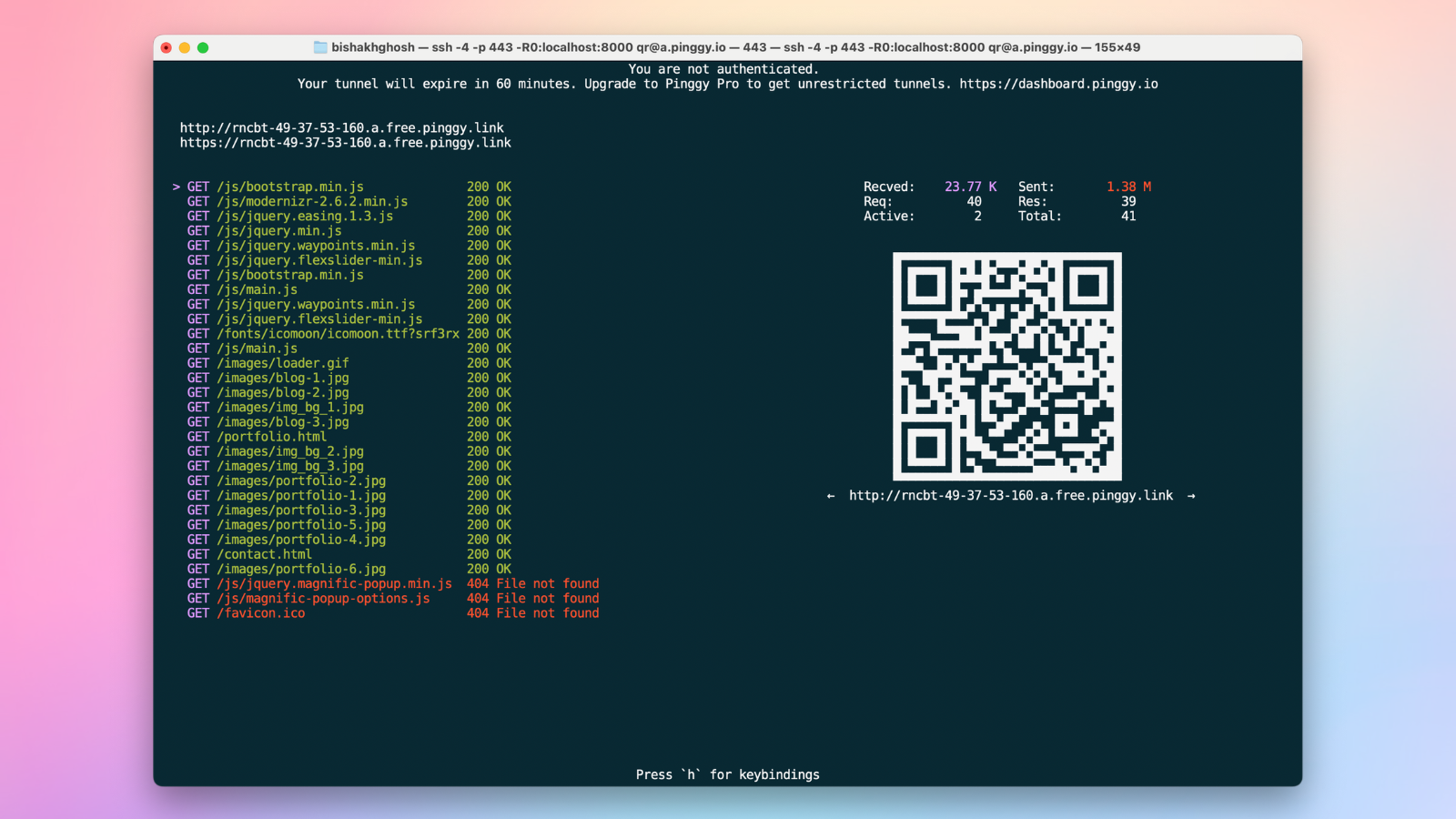 Pinggy Multi Port Forwarding gallery image