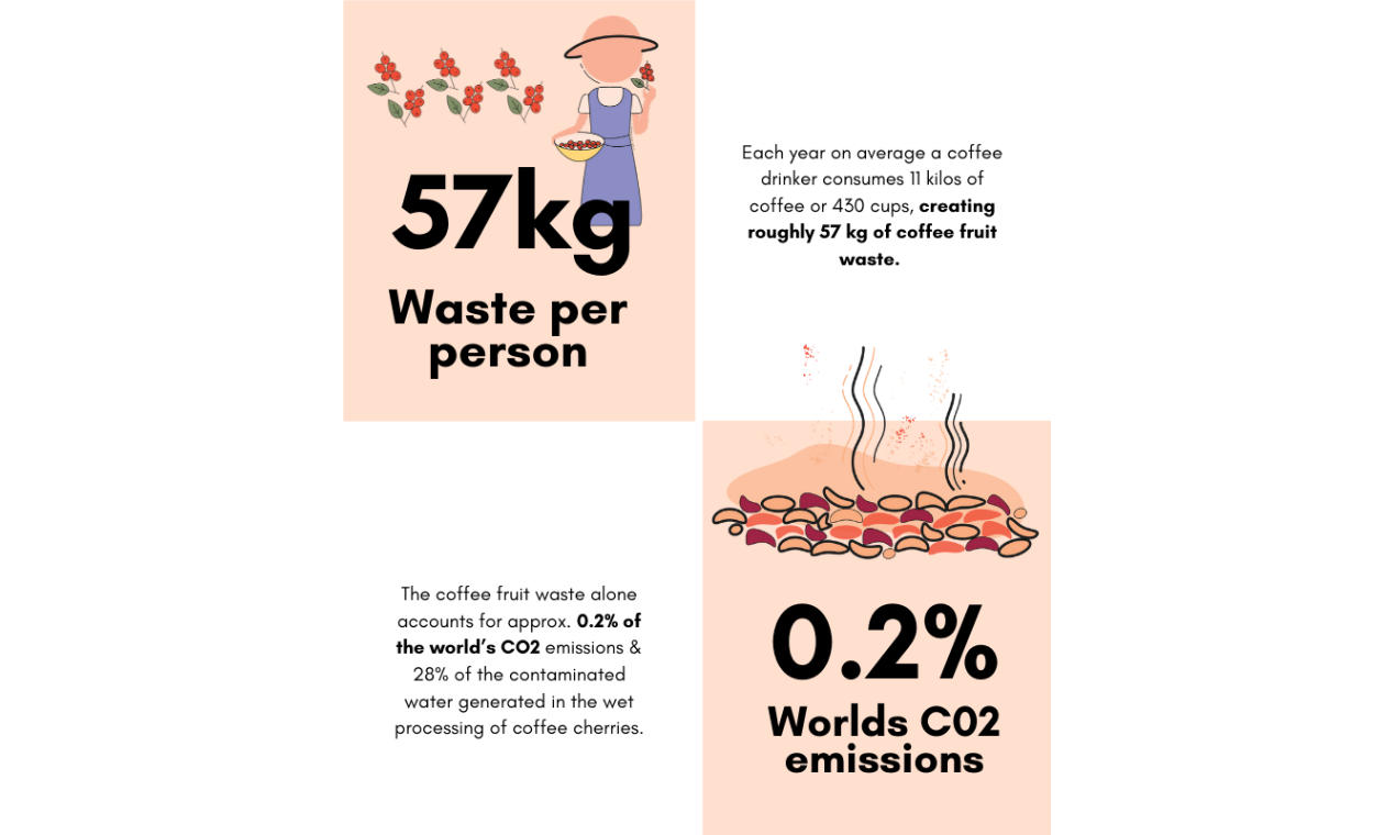 Coffee Fruit Bar gallery image