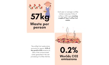 Coffee Fruit Bar gallery image