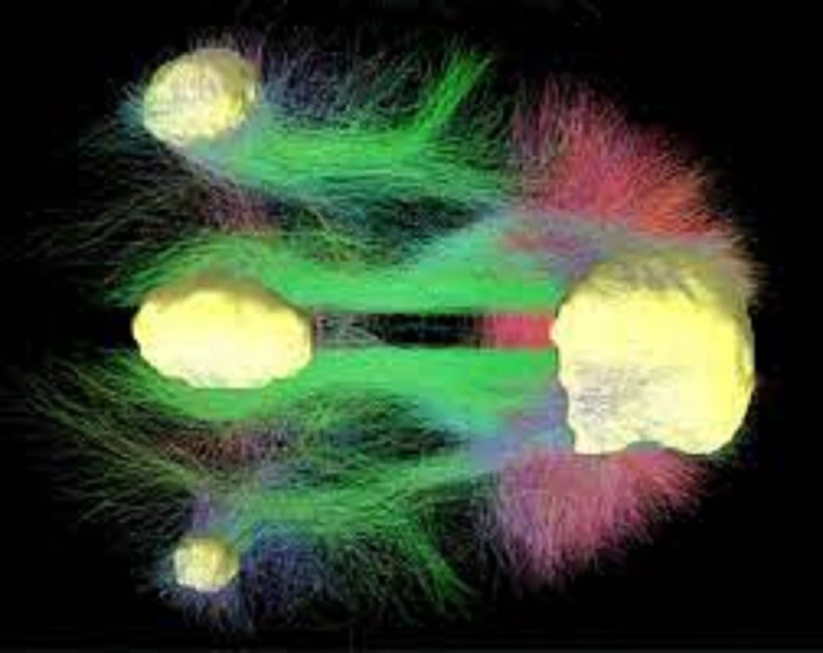 Journal of Psychedelic psychiatry