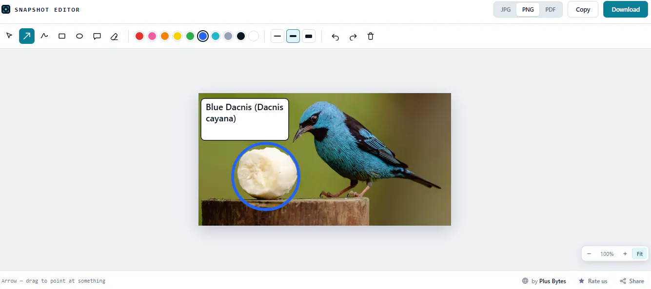 Snapshot — Screenshot Tool gallery image