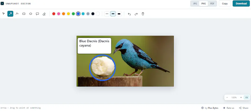 Snapshot — Screenshot Tool screenshot 1