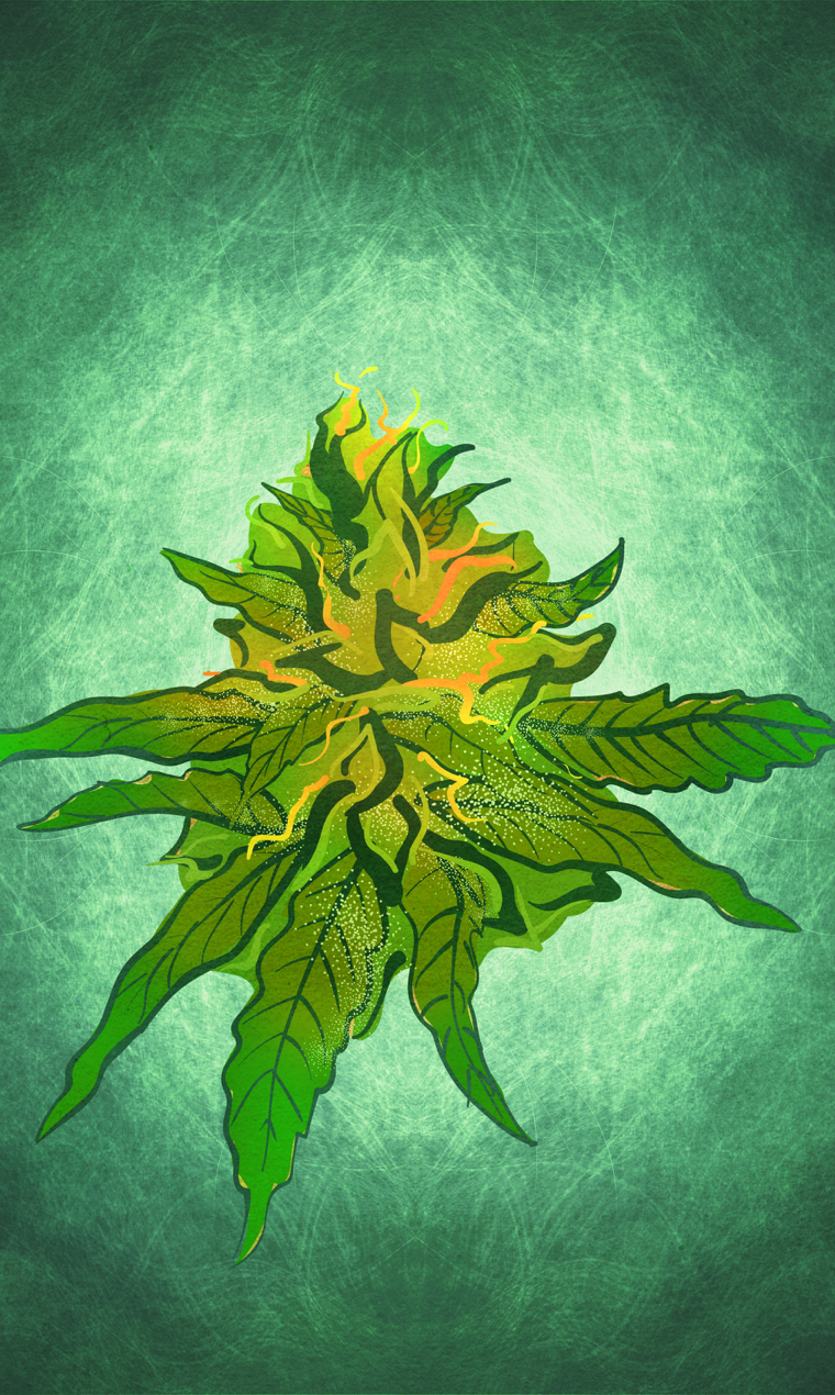 Cannabis NFTs gallery image