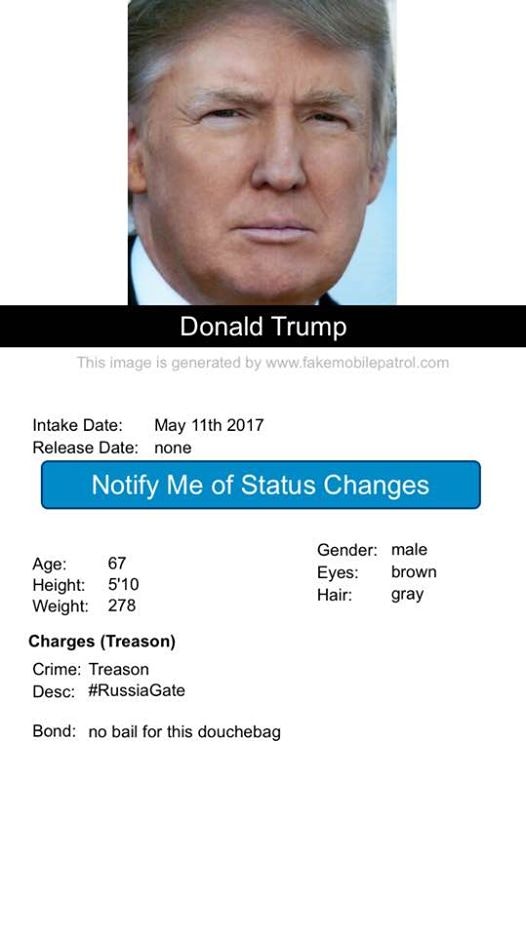 Fake Mobile Patrol gallery image